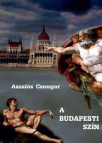 Aszalós Csongor - A budapesti szín