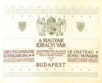 Hauszmann Alajos - A magyar királyi vár