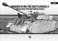 Craig Ellis - Panzer IV on the battlefield 2