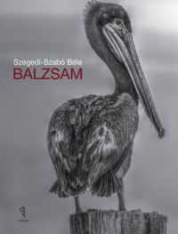 Szegedi-Szabó Béla - Balzsam