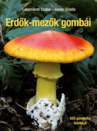 Locsmándi Csaba, Vasas Gizella - Erdők-mezők gombái