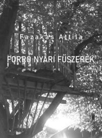 Fazakas Attila - Forró nyári fűszerek