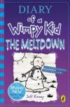 Diary of a Wimpy Kid 13. - The Meltdown