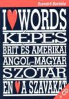 Képes brit és amerikai angol-magyar módszertani tematikus szótár + CD