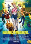 Ragadozó madarak *DC* (DVD) 