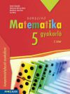 Sokszínű matematika gyakorló 5. - II. kötet