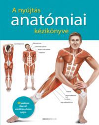  - A nyújtás anatómiai kézikönyve
