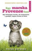 Egy macska Provence-ban