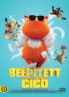 Beépített cicó (DVD)