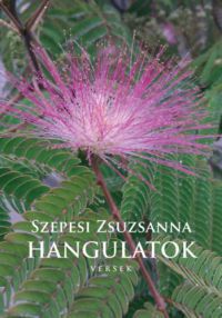 Szepesi Zsuzsanna - Hangulatok