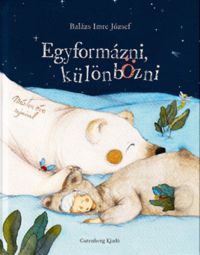 Balázs Imre József - Egyformázni, különbözni