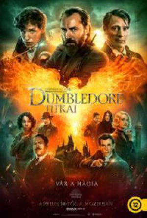 David Yates - Legendás állatok: Dumbledore titkai (DVD)