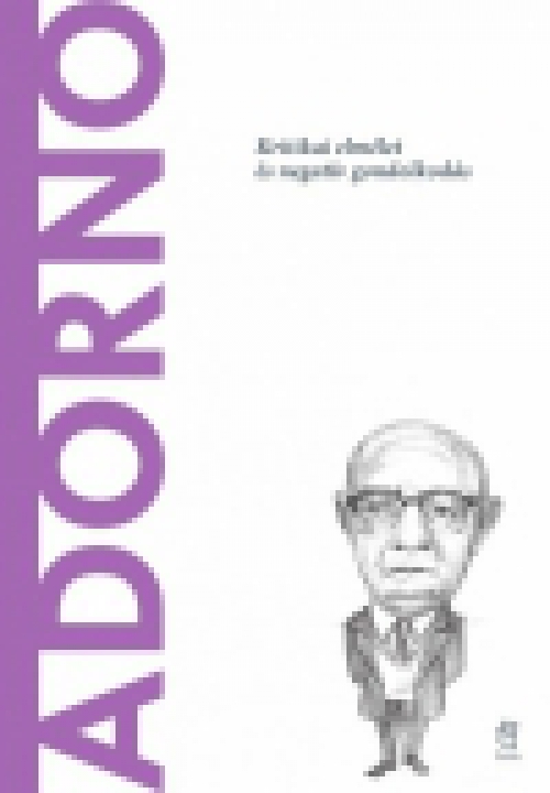 Adorno - Kritikai elmélet és negatív gondolkodás
