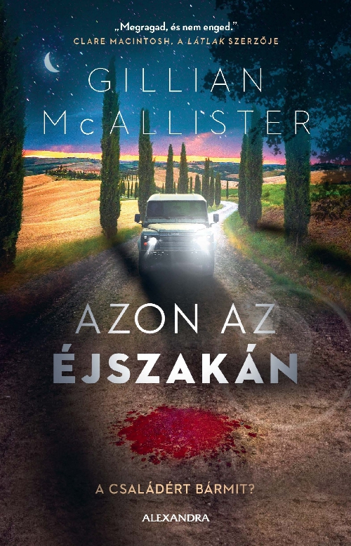 Gillian McAllister - Azon az éjszakán