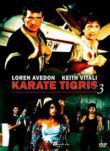 Karate Tigris 3. - Extrakemény Kickboxer (DVD)