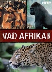 Nem ismert - Vad Afrika 2. (DVD)