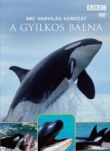 Vadvilág sorozat - A gyilkos bálna (DVD)