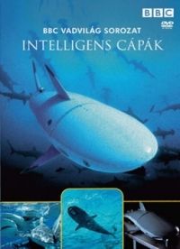 Nem ismert - Vadvilág sorozat - Intelligens cápák (DVD)