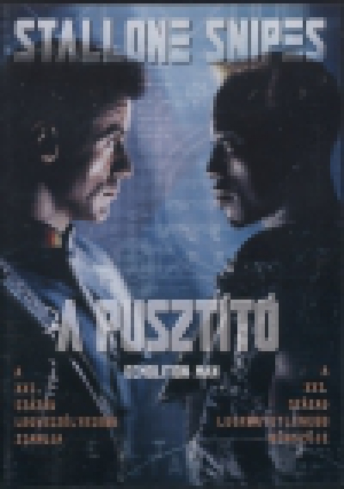 A pusztító (DVD)  