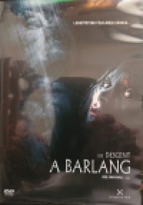 A barlang (DVD) *Antikvár-Kiváló állapotú*