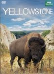 Yellowstone (DVD)