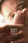 Az élet fája (DVD) *Antikvár-Kiváló állapotú*