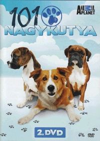 nem ismert - 101 Nagykutya DVD 2. (DVD)