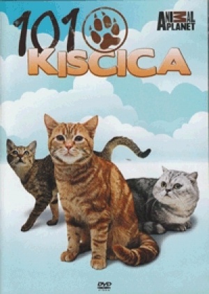 nem ismert - 101 Kiscica - Cats 101 (DVD)