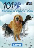 101 Nagykutya DVD 1. (DVD)