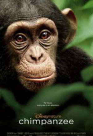 Alastair Fothergill, Mark Linfield - Oscar, a csimpánz (DVD)