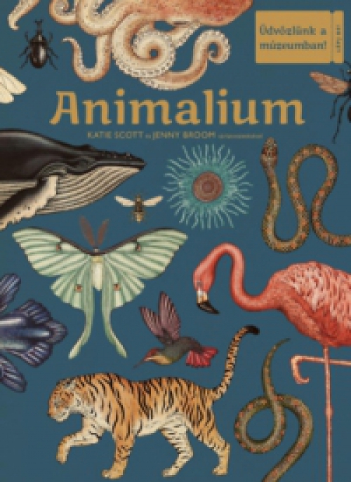 Jenny Broom, Katie Scott - Animalium - Üdvözlünk a múzeumban!