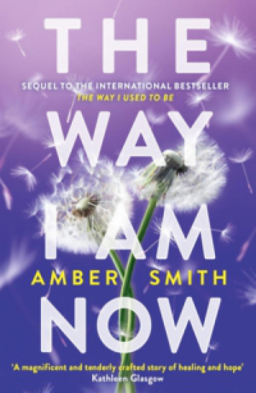 Amber Smith - The Way I am Now