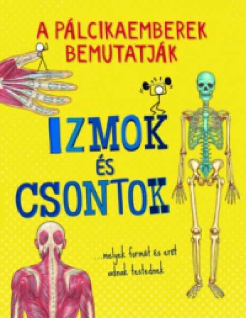  - A pálcikaemberek bemutatják - Izmok és csontok