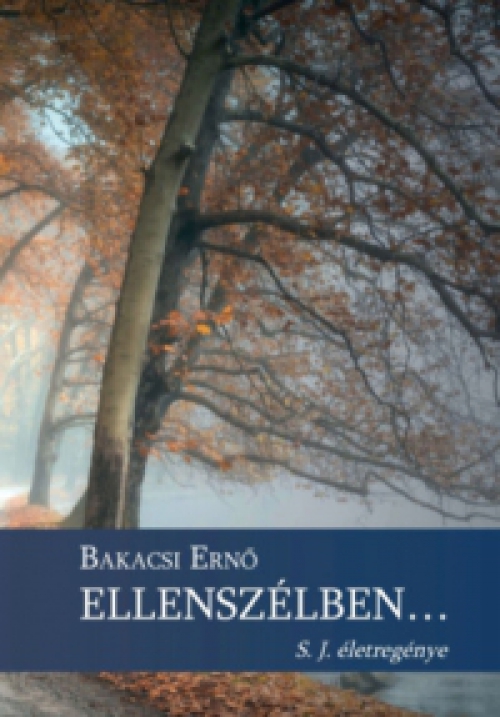 Bakacsi Ernő - Ellenszélben