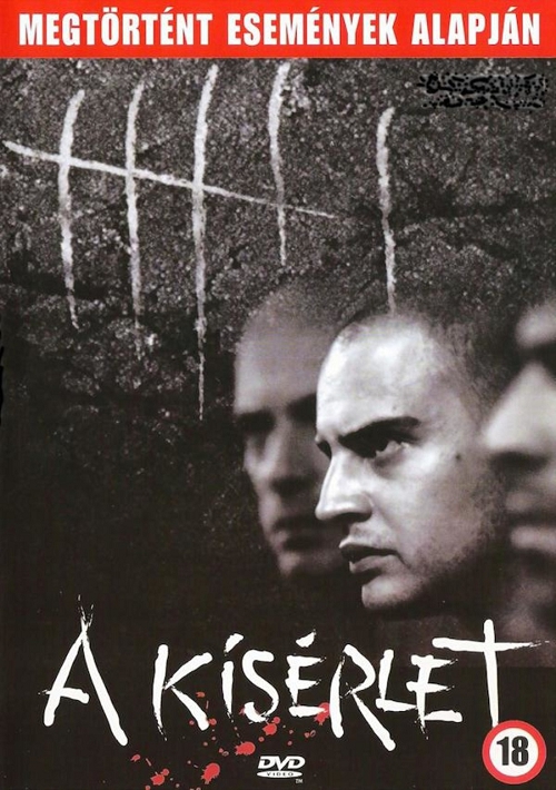 Oliver Hirschbiegel - A kísérlet (DVD) *Német-2001-es változat* *Antikvár - Kiváló állapotú*