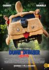 Dumb és Dumber kettyó (DVD)