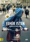 Fehér isten (DVD) 