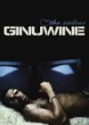 Ginuwine: The videos (DVD)