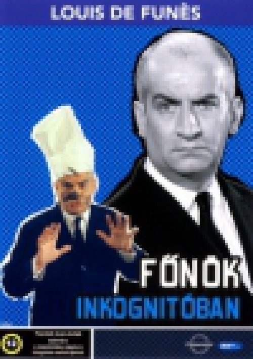 Főnök inkognitóban (DVD)  *Antikvár - Kiváló állapotú*